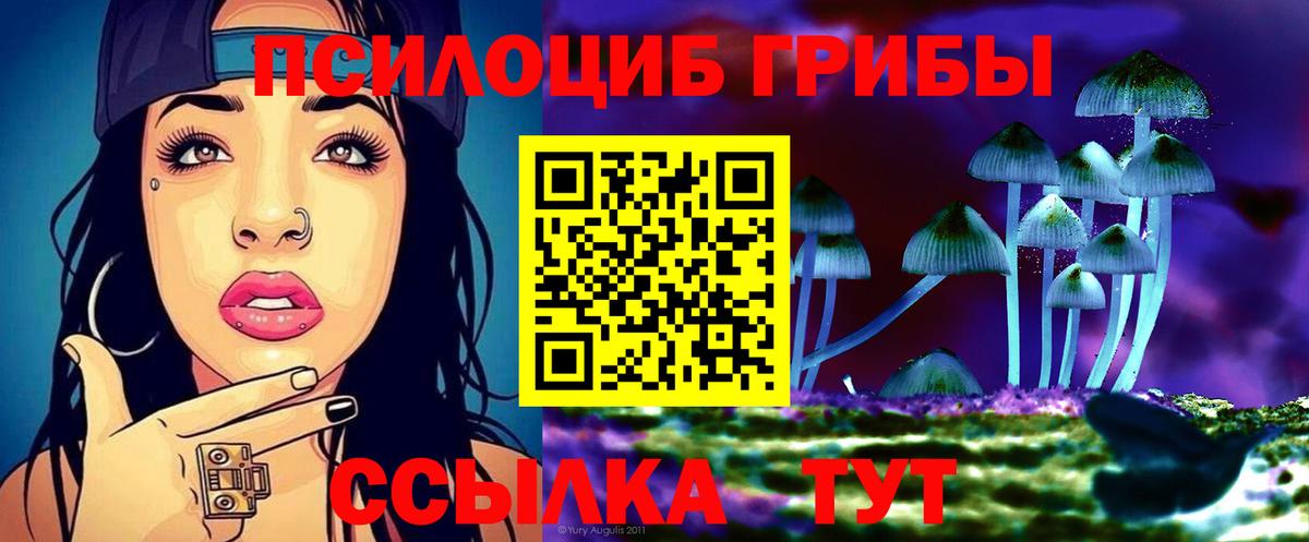закладка  Вход с VPN  Ирбит  Галлюциногенные грибы Magic Shrooms 